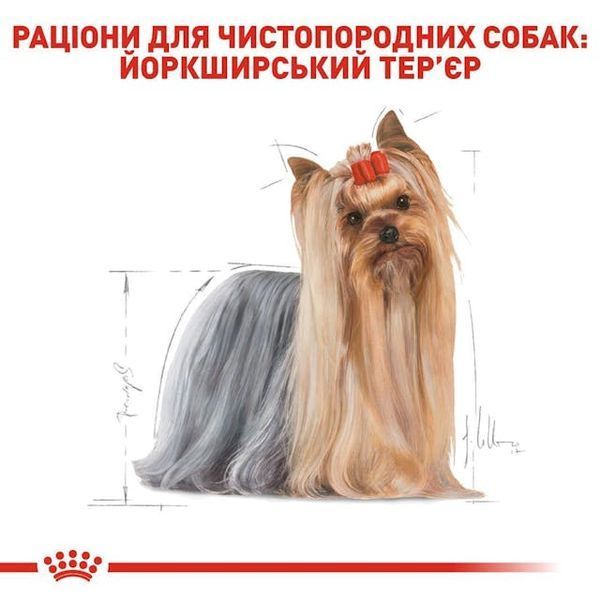 Royal Canin YORKSHIRE ADULT Влажный корм для собак породы Йоркширский Терьер 129003579001448 фото