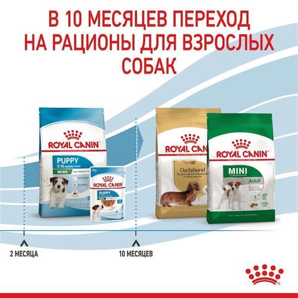 Royal Canin Mini Puppy Влажный корм для щенков мелких пород в соусе 19003579008218 фото