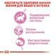 Royal Canin Kitten Loaf Вологий корм для кошенят віком до 12 місяців (паштет) 9003579003848 фото 6