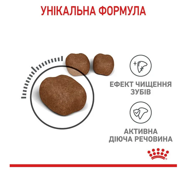 Royal Canin Dental Care Сухий корм для котів для профілактики утворення зубного нальоту 3182550717175 фото